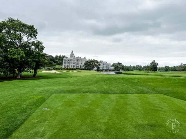 Golfers on a tee at Adare Manor, with the trees behind them.