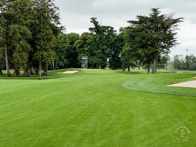 A green and flagstick at Adare Manor, seen from a rise.