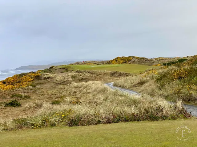 A wide view at Bandon Dunes, with dunes, gorse, and the ocean on the horizon.