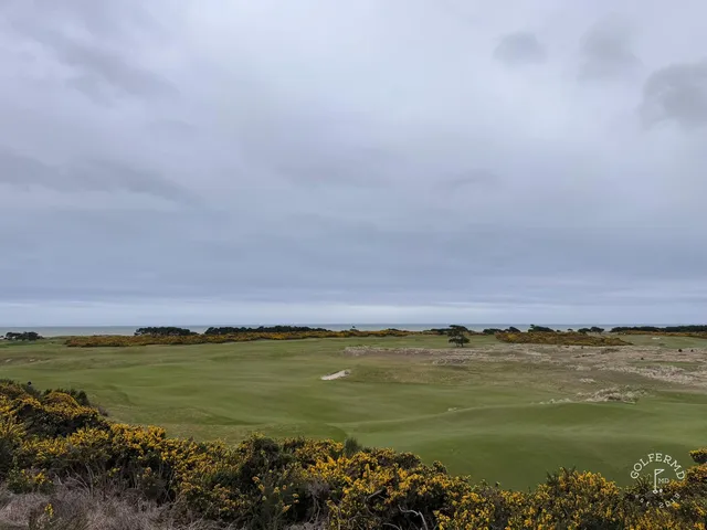 A fairway at Bandon Dunes lined with beach grass, running toward the water.