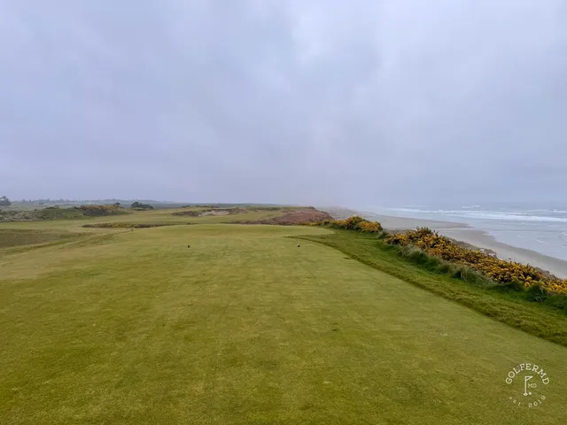 A wide view across the dunes at Bandon Dunes, with the Pacific on the horizon.