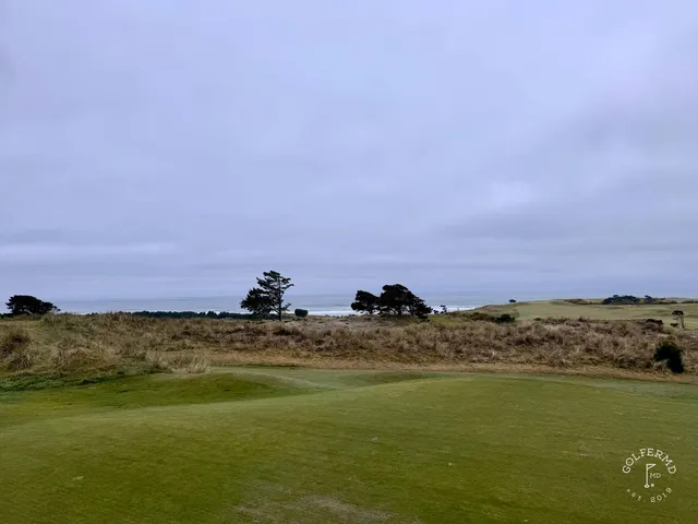 A wide view at Bandon Preserve, with the green, the dunes, and the Pacific.