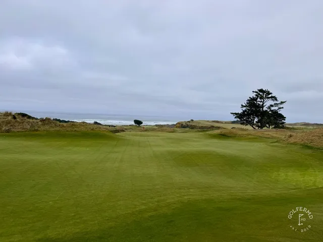 The coastline and the ocean from the bluff at Bandon Preserve.