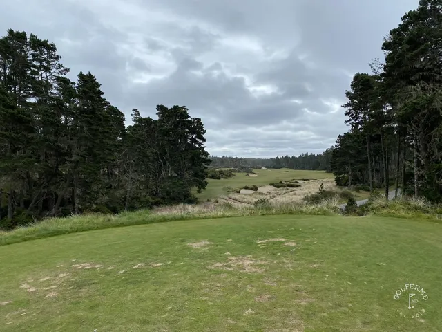 A fairway at Bandon Trails running through the forest.