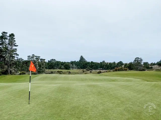 A green and flagstick at Bandon Trails, with a bunker in front and trees around the hole.