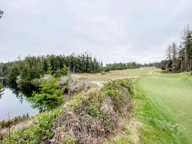 A wide view at Bandon Trails, with the fairway disappearing into the trees.