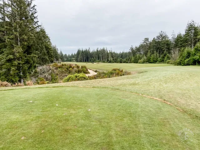 A golfer hitting a shot at Bandon Trails, with the forest ahead.