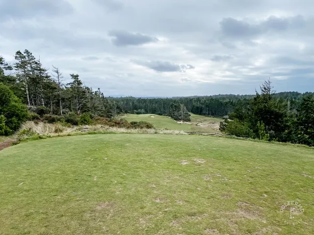 A fairway at Bandon Trails lined with trees on both sides.