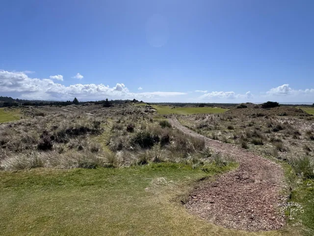 A green and flagstick at Bandon Trails, seen from the fairway, with forest behind the hole.
