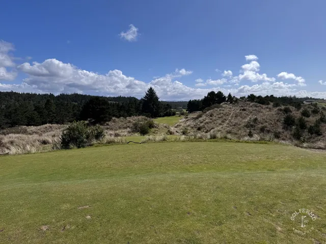 Golfers on a tee at Bandon Trails, with the trees behind them.