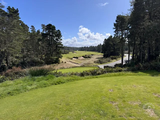 A golfer putting on a green at Bandon Trails, with the forest beyond.