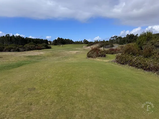 A close view of a green and flagstick at Bandon Trails, surrounded by trees.