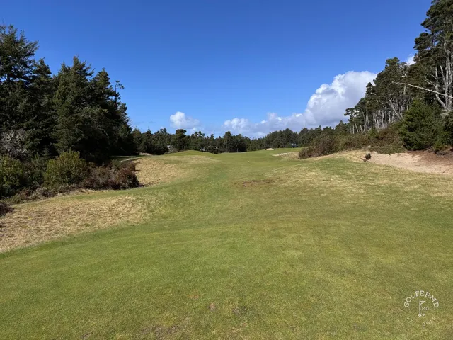 A wide fairway at Bandon Trails, with tall trees along the hole.