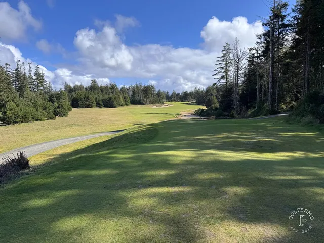 A group of golfers at Bandon Trails, with the forest behind them.