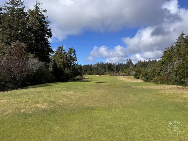A fairway at Bandon Trails with a bunker along one side and trees crowding the hole.