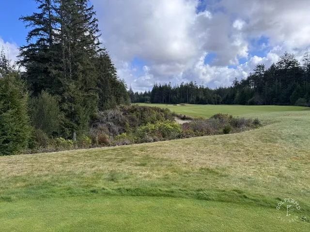 A green and flagstick at Bandon Trails, seen from a rise, with the forest behind it.