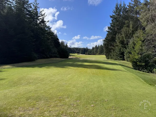 A close view of a flagstick at Bandon Trails, with trees behind the green.