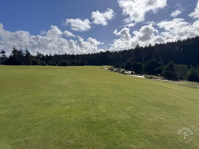 A wide view across Bandon Trails, with fairway and forest.