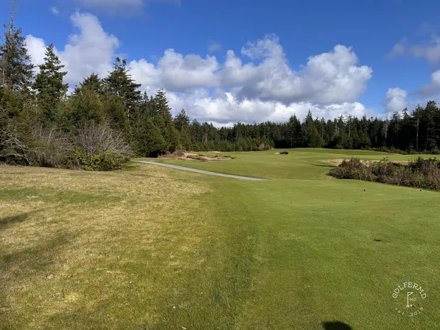 A fairway at Bandon Trails bending through the trees.