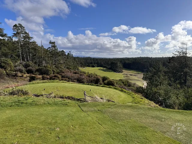 A golfer hitting a shot from the rough at Bandon Trails, with the forest around the hole.