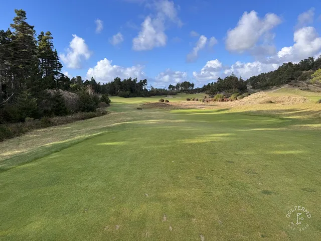 A green and flagstick at Bandon Trails, with sand in front and the trees behind the hole.