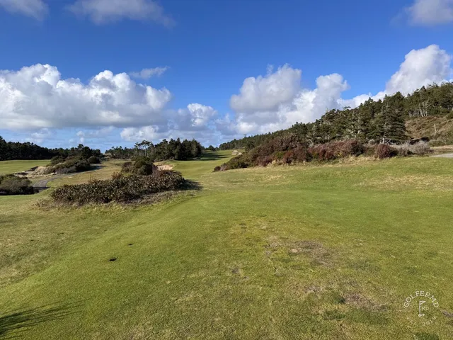 A wide hole at Bandon Trails, the fairway running through the forest.