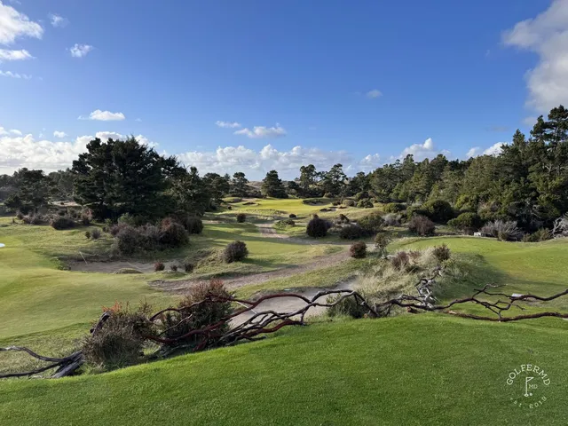A close view of a flagstick at Bandon Trails, framed by the trees.