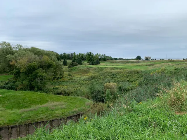 A fairway at Blackwolf Run Meadow Valleys, with fescue and trees along the hole.
