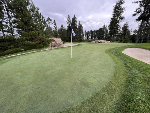 A fairway at the resort course lined with pines, running toward the lake.