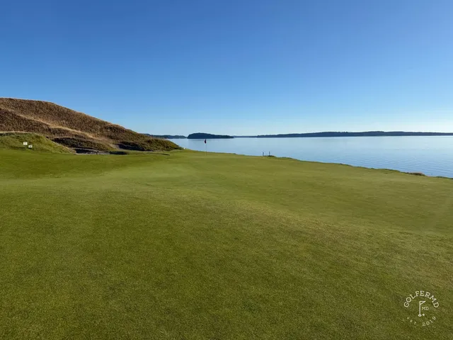 A green and flagstick at Chambers Bay, with sand in front and trees along the hole.