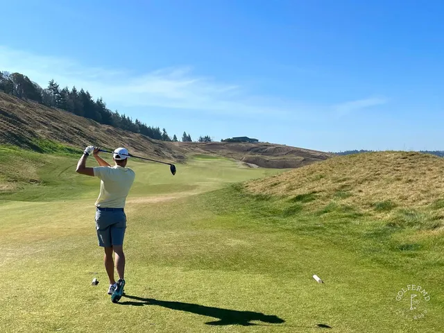 A green and flagstick at Chambers Bay, seen from the tee, with the sound behind the hole.