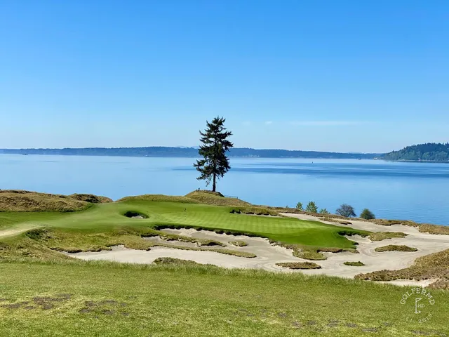 A fairway at Chambers Bay winding through the dunes.