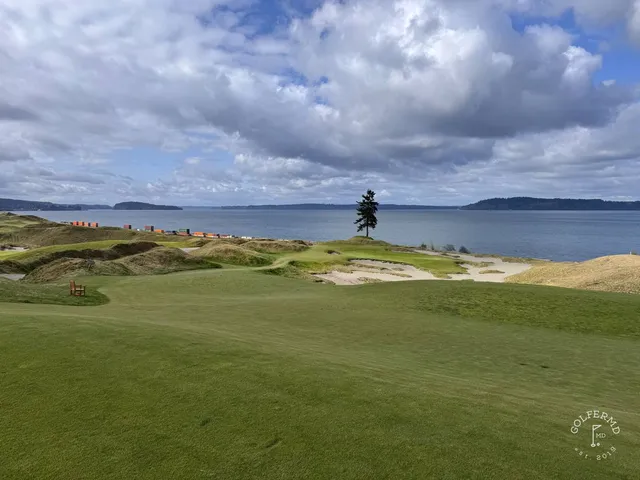 A fairway at Chambers Bay lined with beach grass.