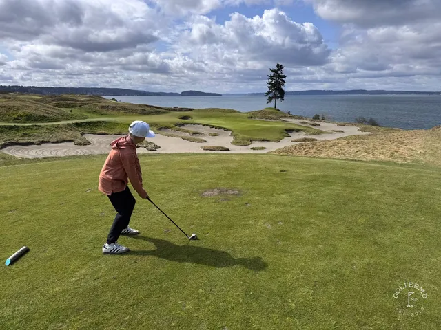 A close view of a flagstick at Chambers Bay, with the dunes and the water behind the green.