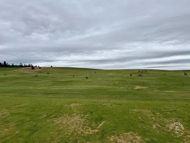 A fairway at Circling Raven Golf Club running through tall pines.