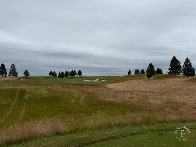 A green and flagstick at Circling Raven, seen from the fairway, with trees around the hole.