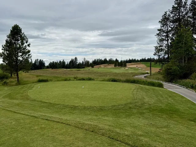 A golfer putting on a green at Circling Raven, with forest behind the hole.
