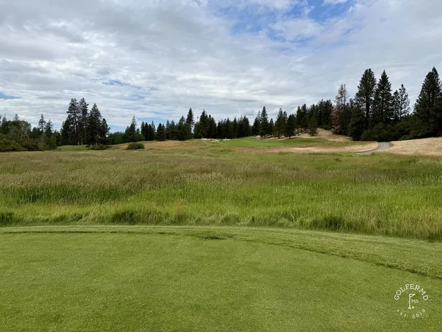 A group of golfers at Circling Raven, with pine trees behind them.