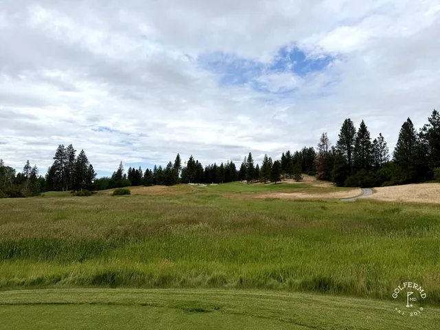 A fairway at Circling Raven lined with pines, running toward a distant green.