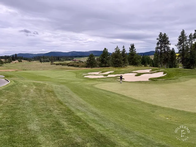 A green and flagstick at Circling Raven, with long grass and trees around the hole.
