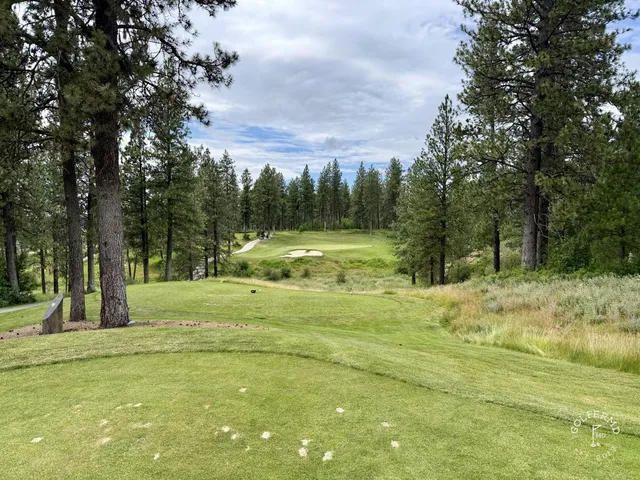 A wide view across Circling Raven, with fairways cut through the forest.