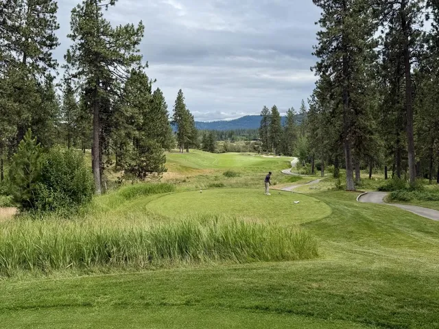 A golfer standing on a tee at Circling Raven, with the hole ahead through the pines.
