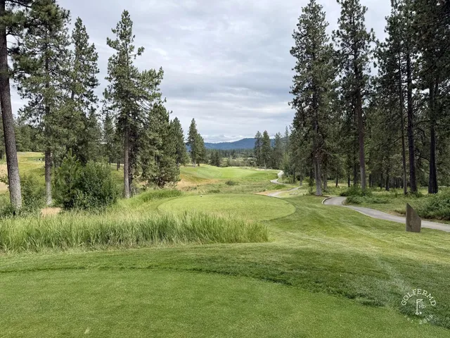 A green and flagstick at Circling Raven, seen from a rise, with forest beyond.