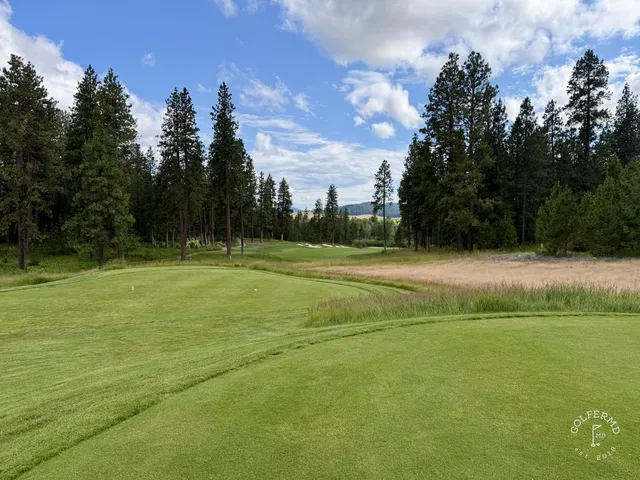 A green and flagstick at Circling Raven, with the forest closing in around the hole.