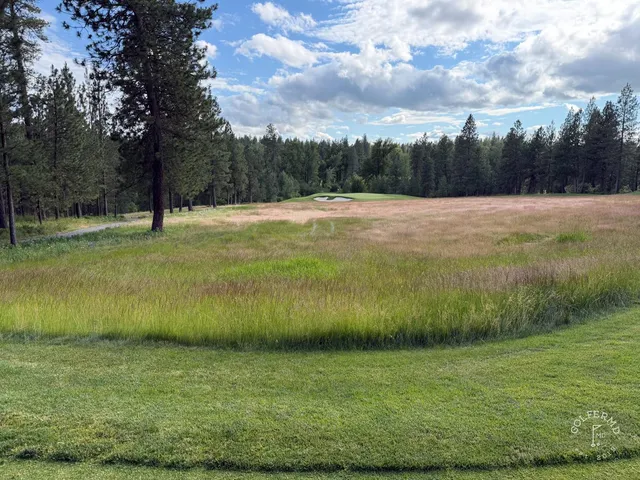 A golfer putting at Circling Raven, with pines behind the green.
