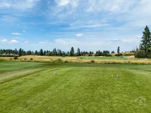 A fairway at Circling Raven with pines tight along the left side.