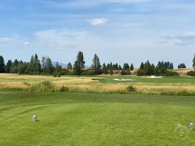 A green and flagstick at Circling Raven, framed by trees at the back of the hole.