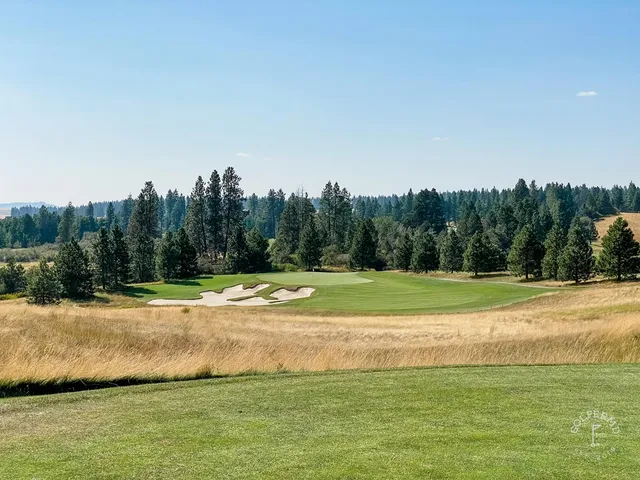 A fairway at Circling Raven opening through the forest toward the green.