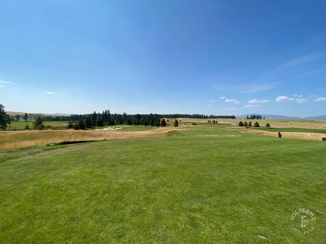 Golfers on a green at Circling Raven, with pine trees behind them.