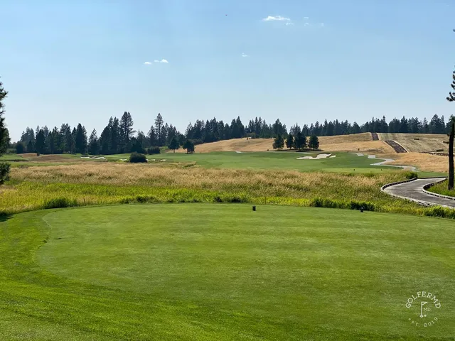 A wide hole at Circling Raven, with the fairway running downhill through pines.